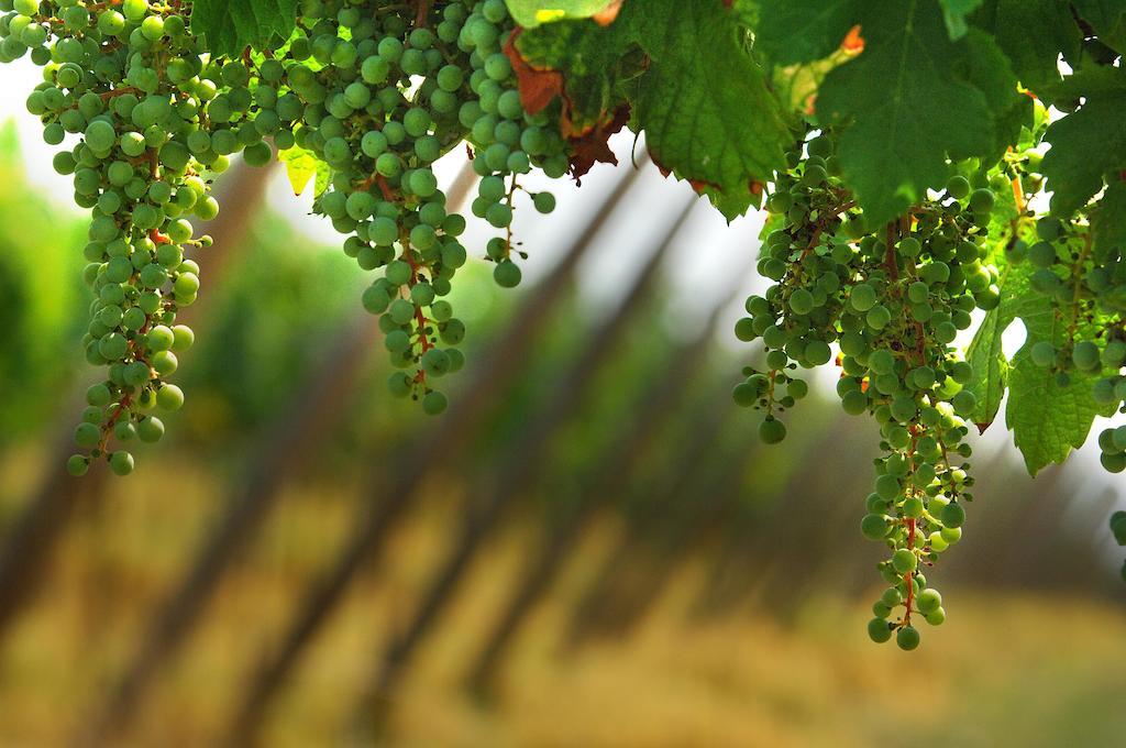 B&B Camignone Franciacorta Passirano Exteriér fotografie