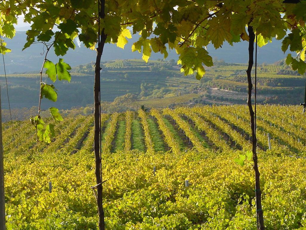 B&B Camignone Franciacorta Passirano Exteriér fotografie